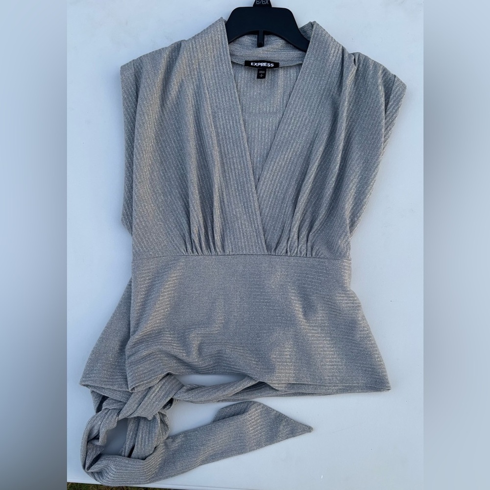 Express Shimmering Silver V-Neck Blouse